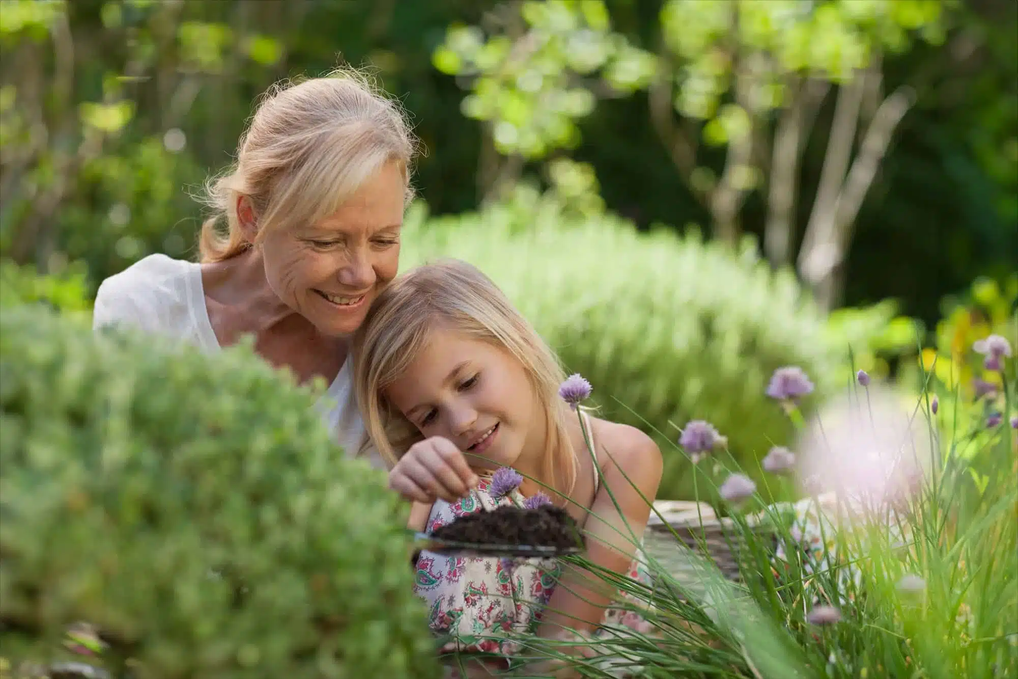 Springtime Activities for Older Adults