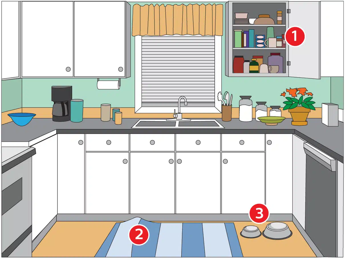 Home Safety Tips For Seniors A RoombyRoom Guide Lifeline