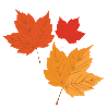 Seasonal decoration