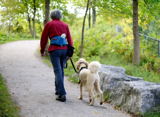 The Benefits of Pets for Seniors
