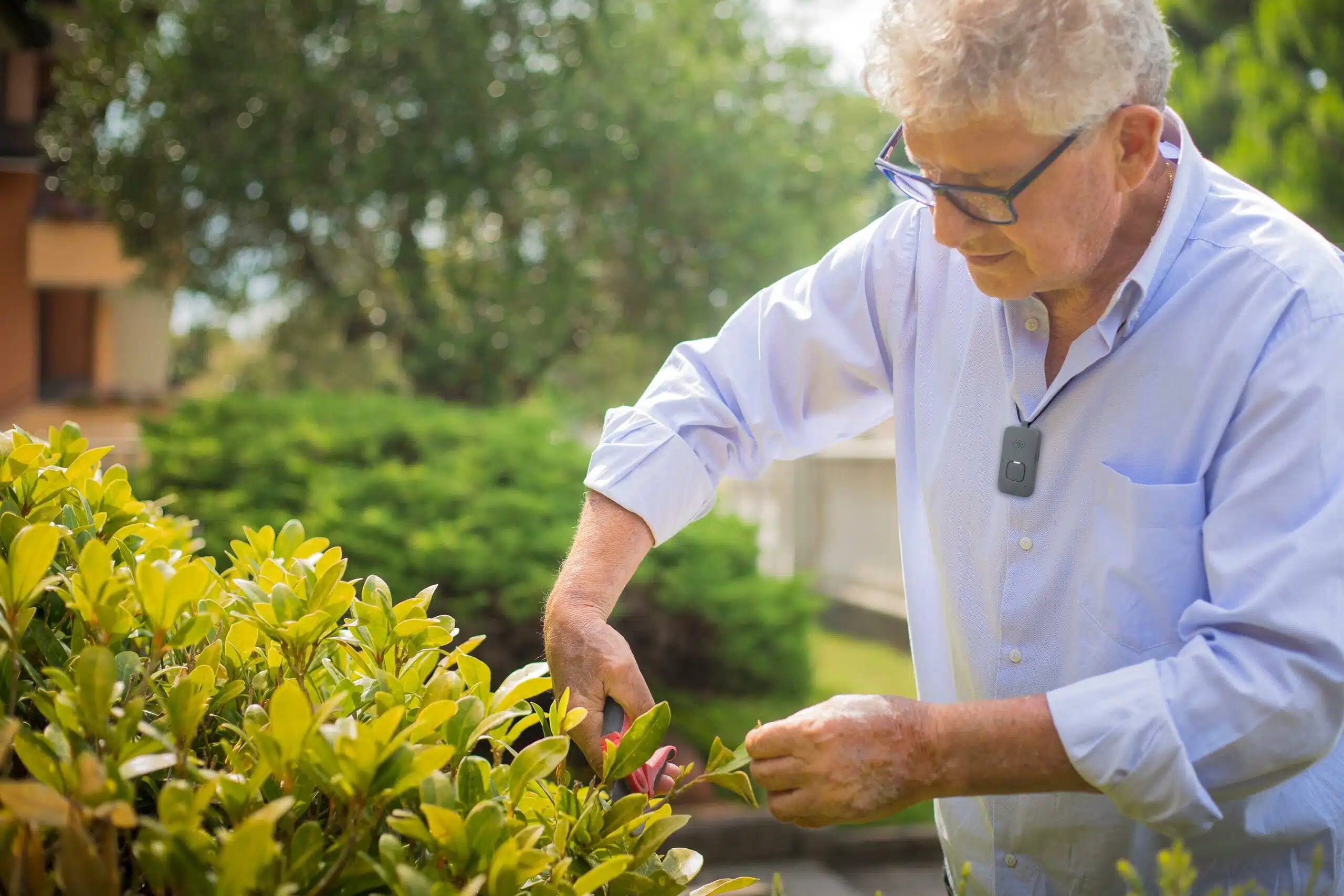 Senior working on their garden
