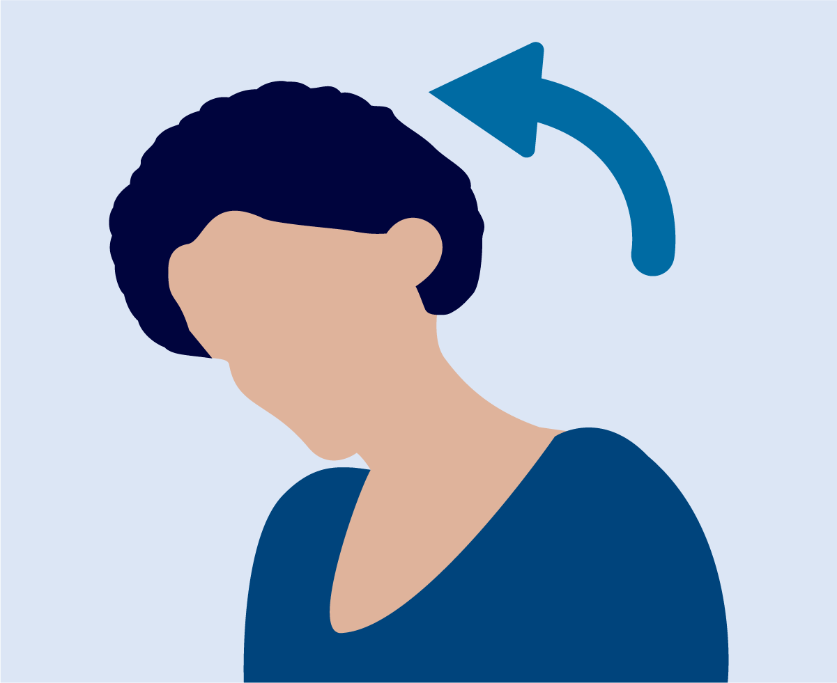 14 Seated & Chair Exercises For Seniors (Pictures & Printable PDF